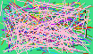 phonenumber look up
